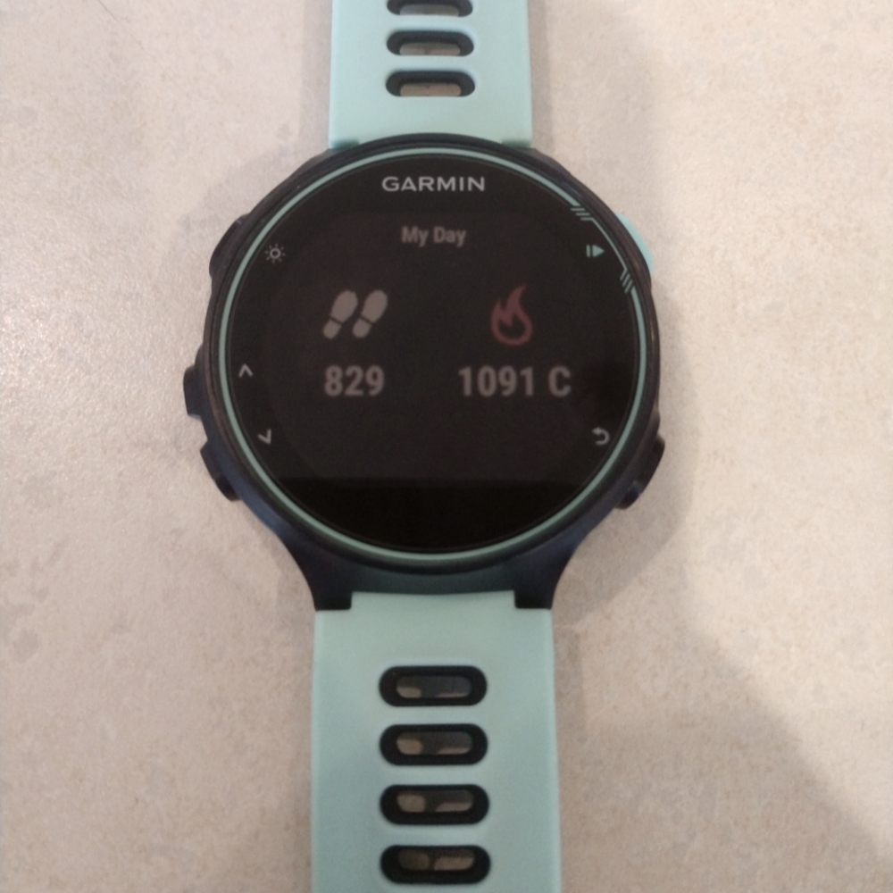 Garmin Forerunner 735 XT watch